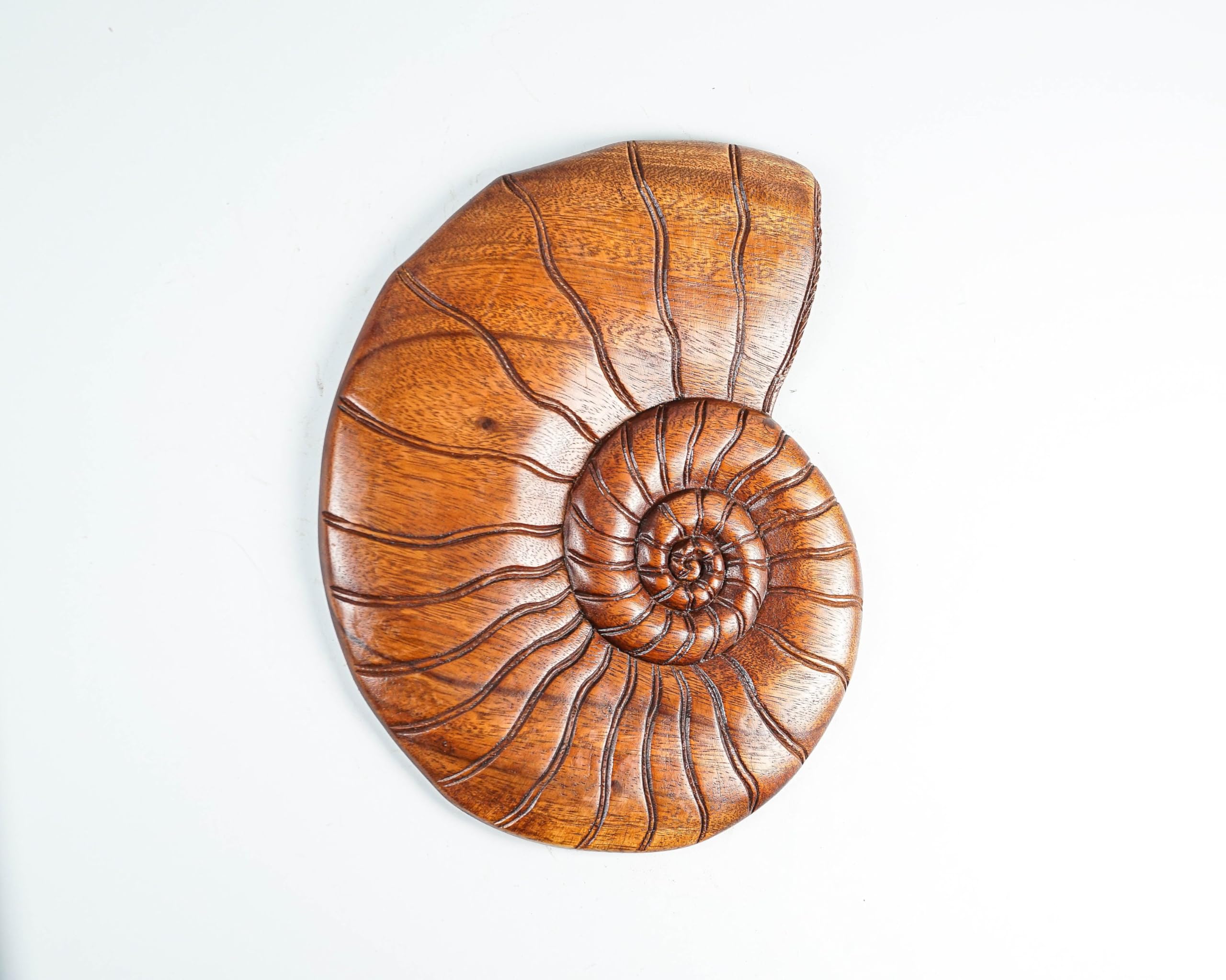 kveer wood,Handcrafted Wooden Nautilus Shell Wall Art – Natural Finish Spiral Shell Design for Home & Office Decor – Eco-Friendly Rustic Wood Wall Hanging