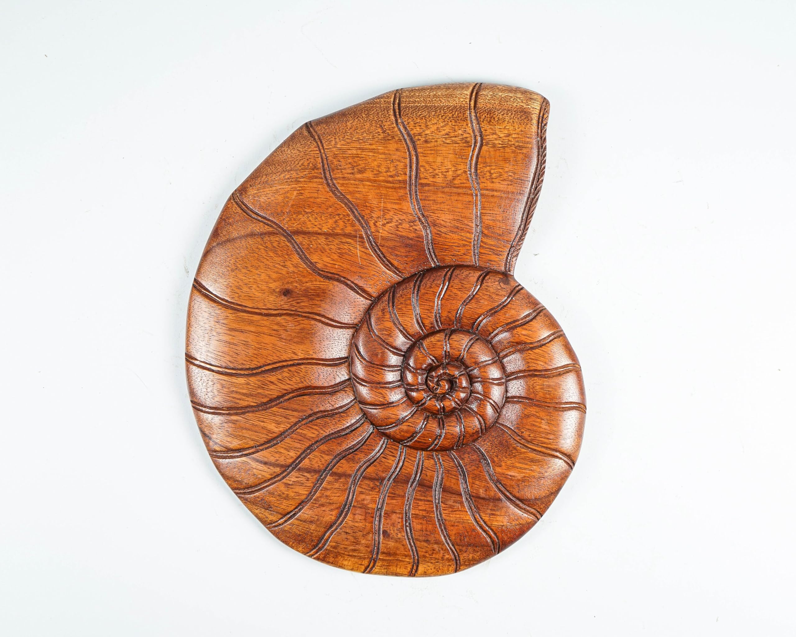 kveer wood,Handcrafted Wooden Nautilus Shell Wall Art – Natural Finish Spiral Shell Design for Home & Office Decor – Eco-Friendly Rustic Wood Wall Hanging