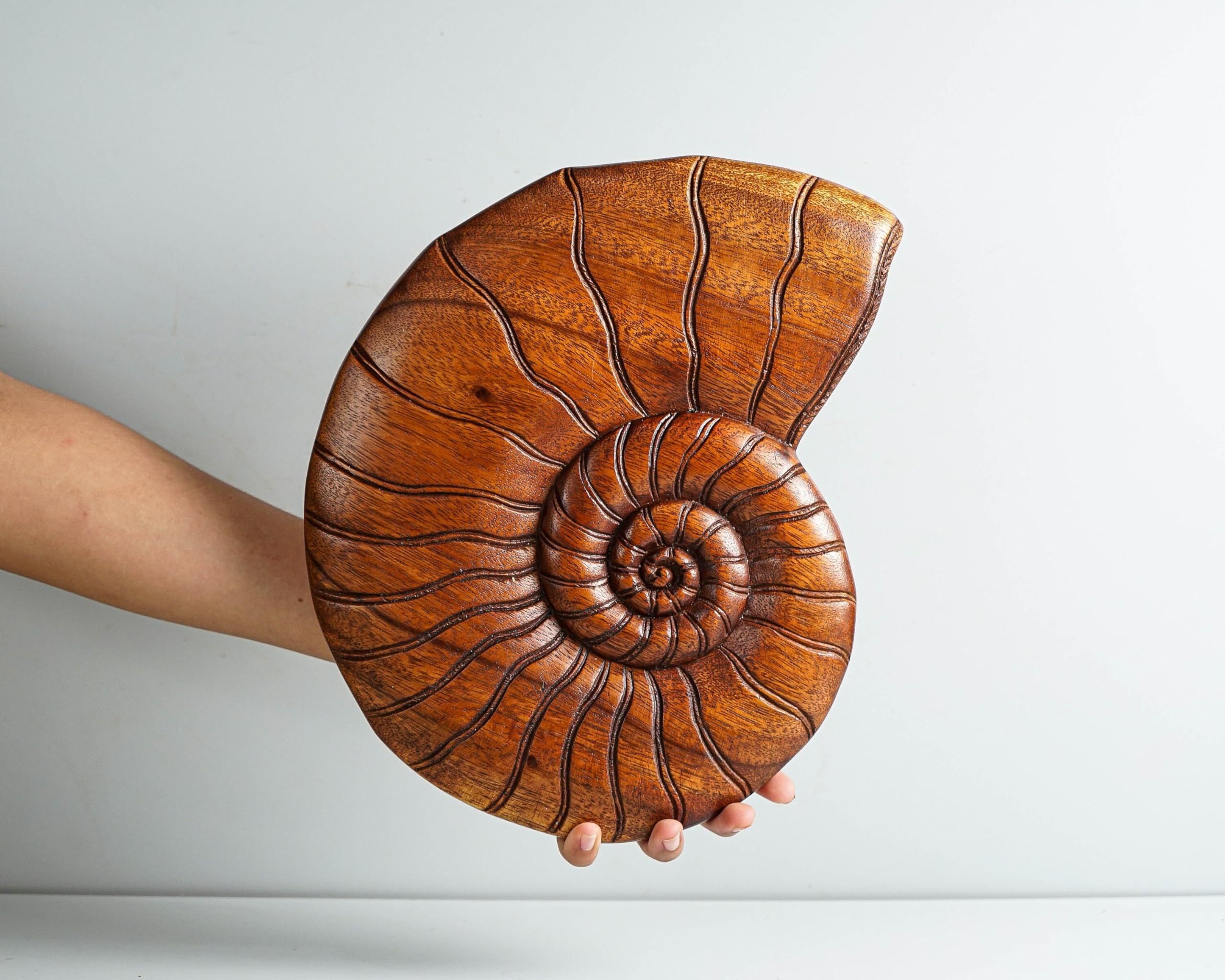 kveer wood,Handcrafted Wooden Nautilus Shell Wall Art – Natural Finish Spiral Shell Design for Home & Office Decor – Eco-Friendly Rustic Wood Wall Hanging