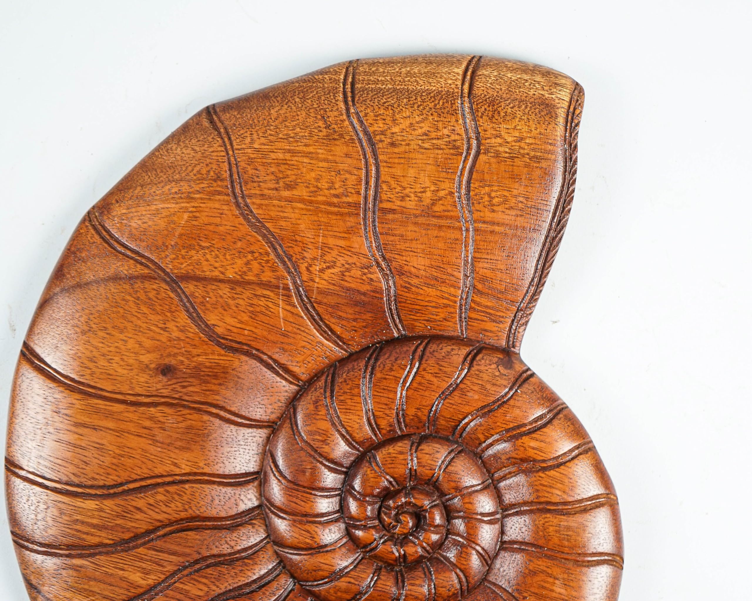 kveer wood,Handcrafted Wooden Nautilus Shell Wall Art – Natural Finish Spiral Shell Design for Home & Office Decor – Eco-Friendly Rustic Wood Wall Hanging