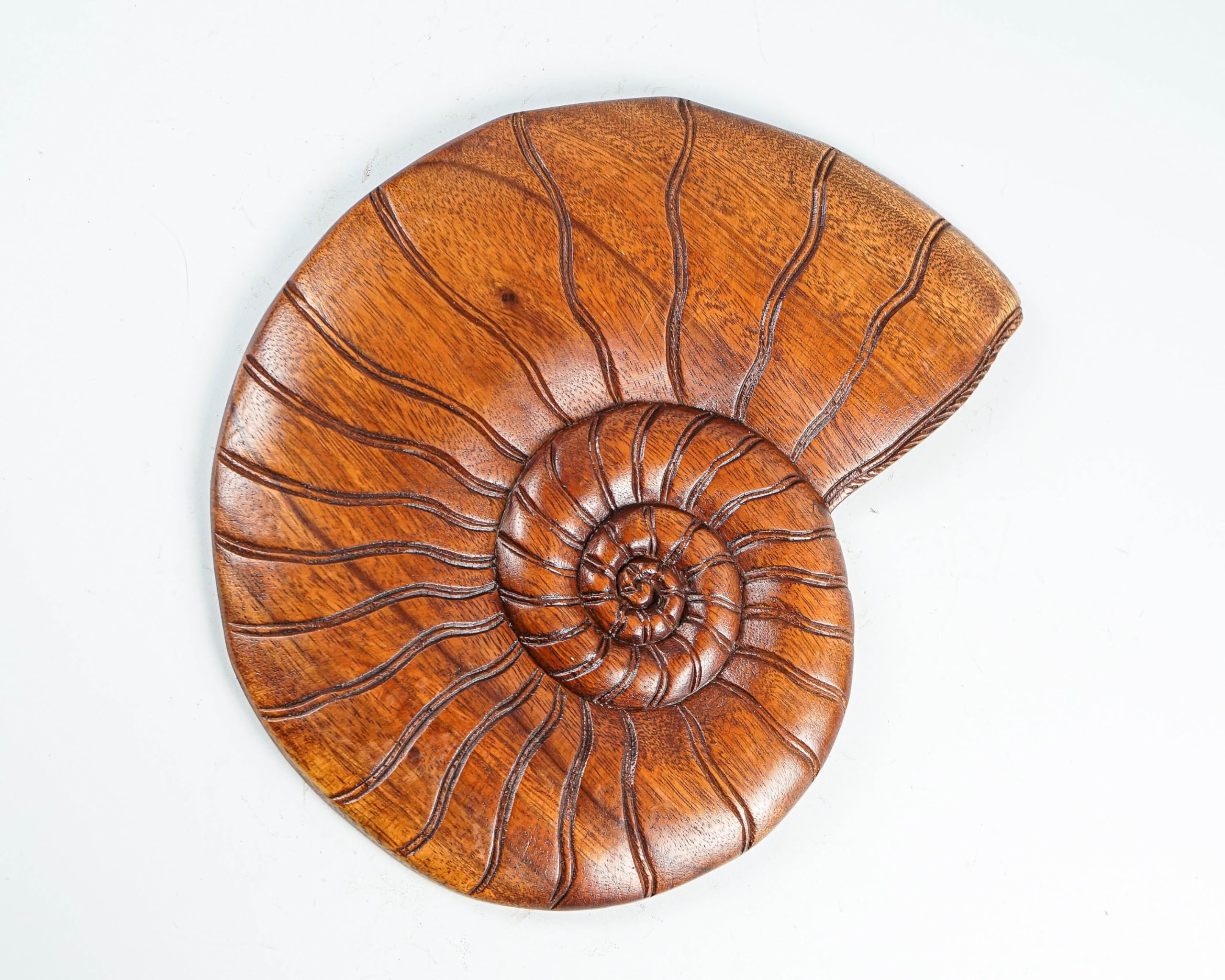 kveer wood,Handcrafted Wooden Nautilus Shell Wall Art – Natural Finish Spiral Shell Design for Home & Office Decor – Eco-Friendly Rustic Wood Wall Hanging