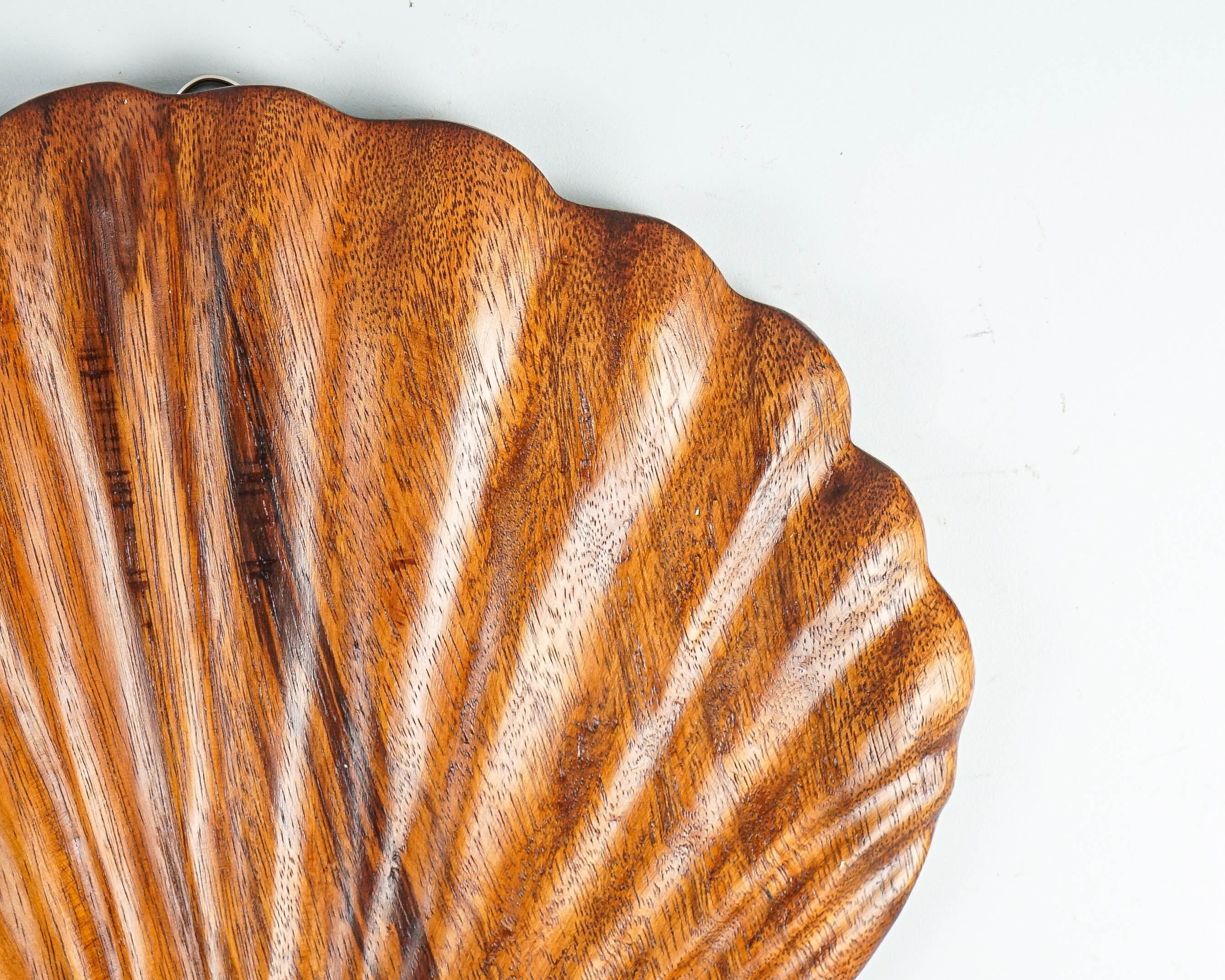 kveer wood Art Solid Wood D Shape Seashell Wall Art | Wood Carving | Room Decor | Honey Finish